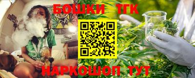 шишки Нальчик