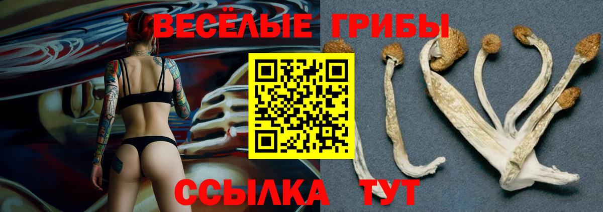Псилоцибиновые грибы мицелий  Псилоцибиновые грибы мицелий  Псков  Вход с VPN 